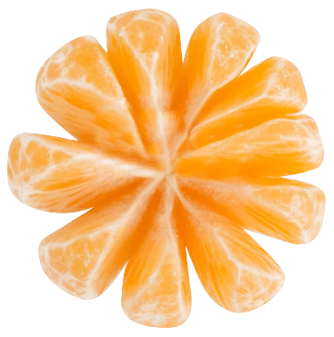 Jaffa Easy Peeler