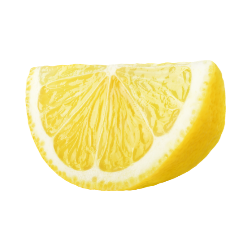 lemon slice icon (1)