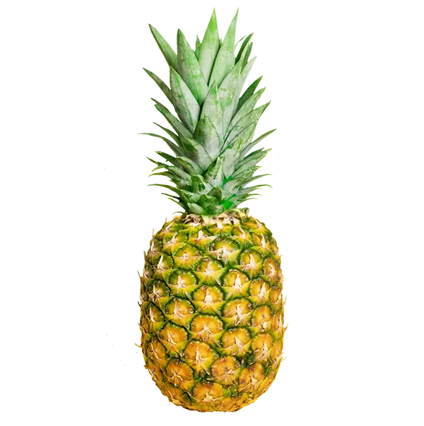 Pineapple 1