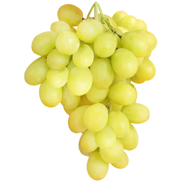 Jaffa Green and Crunchy Grapes